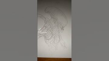 Xenomorph Drawing
