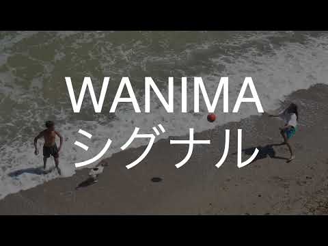 シグナル/WANIMA　歌ってみた　　　　NHK「18祭」