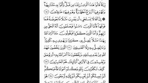 سورة البقرة ( 25 ـ 29 ) مشارئ العفاسي ( 5 )