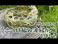 【竹かご編み】「六つ目編み波縁かご」を編もう！