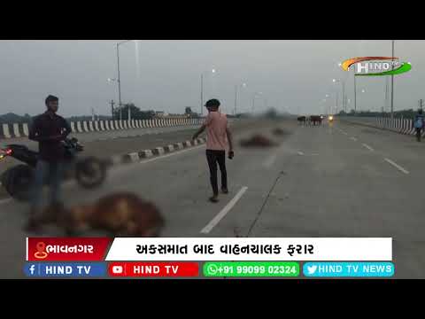 મહુવા-ભાવનગર હાઈવે-51 પર ગમખ્વાર અકસ્માત