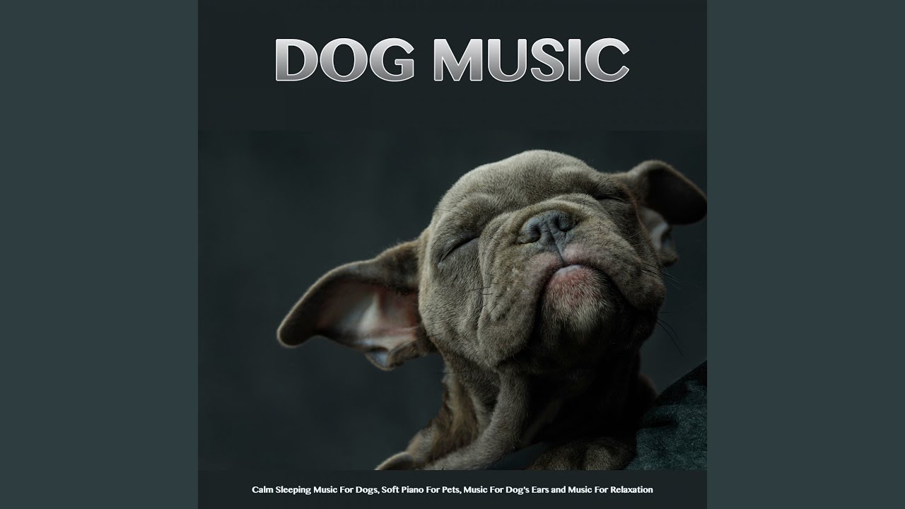 Instrumental Music For Dogs - YouTube