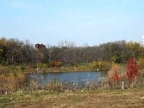 20495 Abbey Dr, Frankfort, IL home video tour