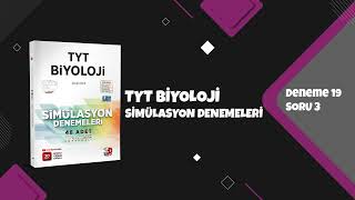 Tyt Biyoloji Simülasyon Denemeleri Deneme 19 Soru Çözümleri