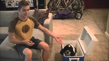 AP Statistics - Experimental Design