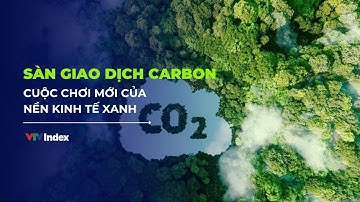 Sàn giao dịch carbon - Cuộc chơi mới của nền kinh tế xanh | VTVIndex