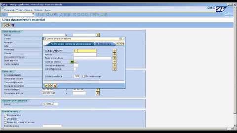 Convertir de EAN a SAP MB51 Sap Cencosud