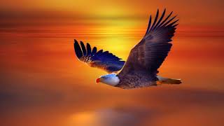 Beautiful Chinese Music - Der Einsame Hirte [Leo Rajas]