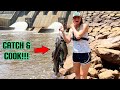 CATFISHING a MASSIVE SPILLWAY with RARE Live Bait!!! CATCH CLEAN and COOK Spicy Grilled Fillets!!