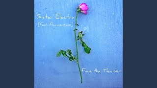 Celebrity Face The Thunder Net Worth