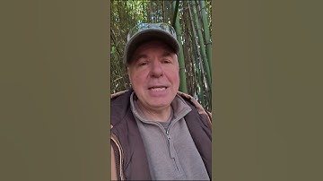 How to kill bamboo forever! #mcgtv #mcgtube #bamboo