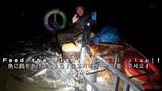 鹦鹉互动时光 – Parrot Interaction Time – パロットインタラクションタイム 2025-11-29 19:45:14