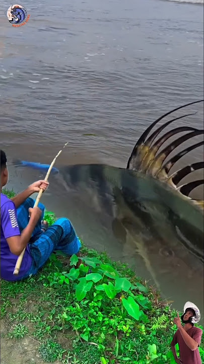 Unik!!! Seorang pria strike ikan berduri di tepi pantai #shorts #fishing