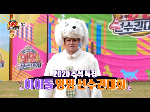 [2020 추석특집 아이돌 멍멍 선수권대회 티저] 아이돌&amp;반려견의 신개념 스포츠! 