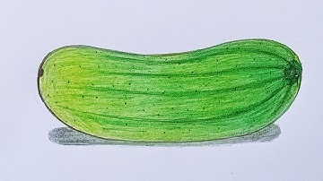 শসা আঁকা|| সহজ নিয়মে শসা আঁকা || How to draw a Cucumber || Cucumber drawing. Cucumber drawing easy.