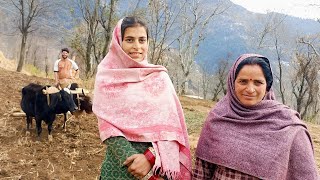 Beautiful Village Life Of Tepri Village Asa Khubsurat Pahadi Culture Kabi Nahi Dekha.