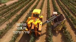 Download Lagu בציר ממוכן MP3