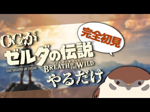 ほぼ無言ブレスオブザワイルデッドオーバードラゴン何も覚えてないジエンド