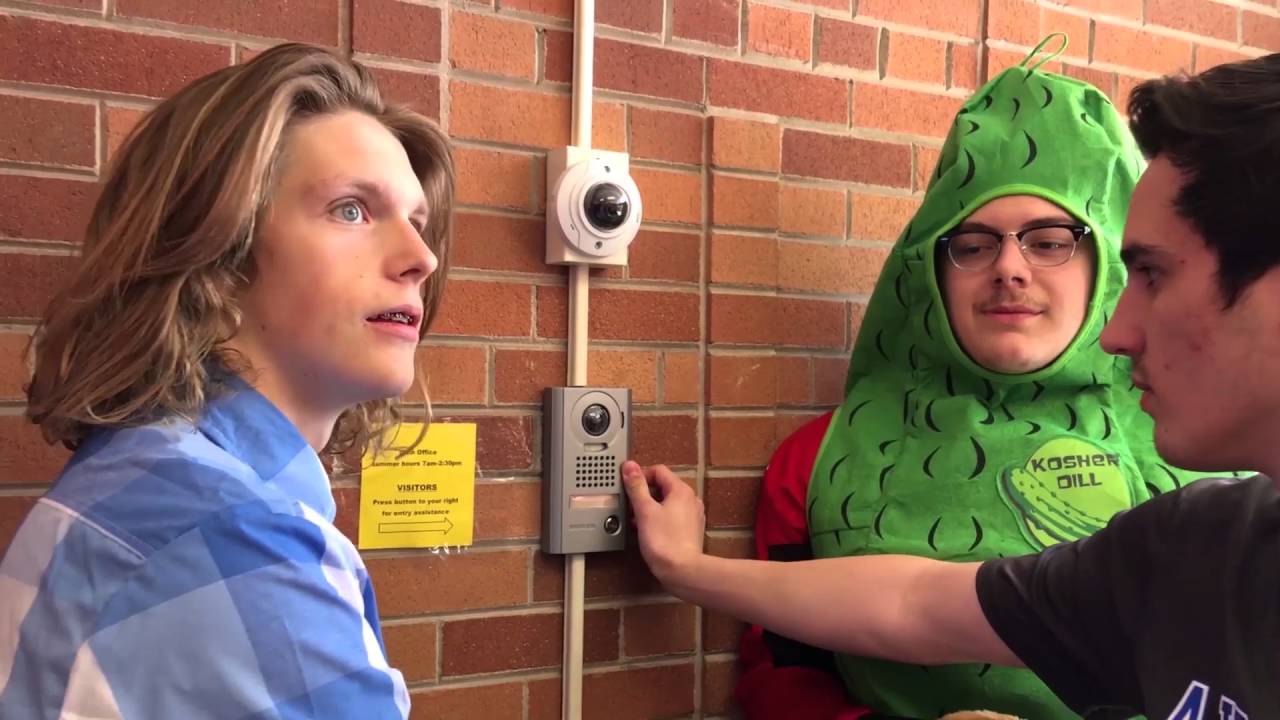 Laser Cats 2! YouTube