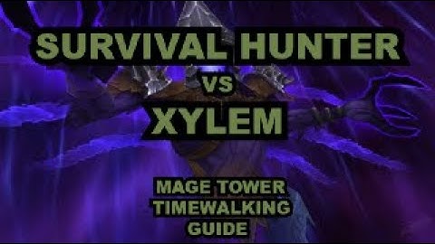 Timewalking Mage Tower Challenge - Archmage Xylem - Survival Hunter