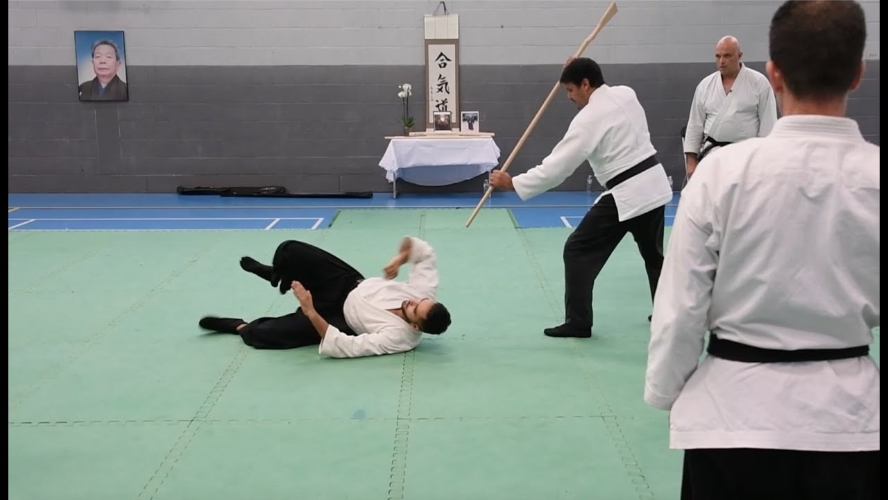 International Aikido Seminar day 3 - Wembley Park August 22 with Said Sebbagh Sensei