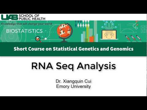 Video: BALDR: En Beregningsrørledning For Sammenkoblet Tunge Og Lette Kjedene Immunoglobulinrekonstruksjon I Enkeltcelle RNA-seq Data