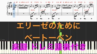 エリーゼのために ピアノ楽譜 ベートーベン ドレミふりがな付き 楽譜 簡単 演奏 無料 初心者でも弾けるピアノ曲 ドレミふりがな譜表 簡単に演奏出来る名曲 Fur Elise Woo 59by Ludwig Van Beethoven 無料楽譜 ドレミカタカナ付き Pdf 初心者ピアノ演奏に最適