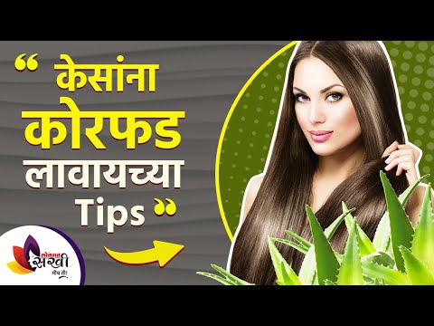 कोरफडीचे तेल केसांना कसे लावावा | How to Apply Aloe Vera Oil to Hair | Lokmat sakhi