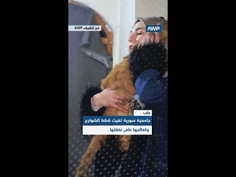 جامعية سورية تغيث قطط الشوارع وتعالجها على نفقتها في حلب