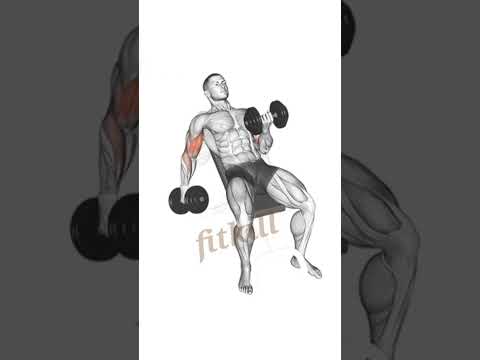 Superset Arms Workout