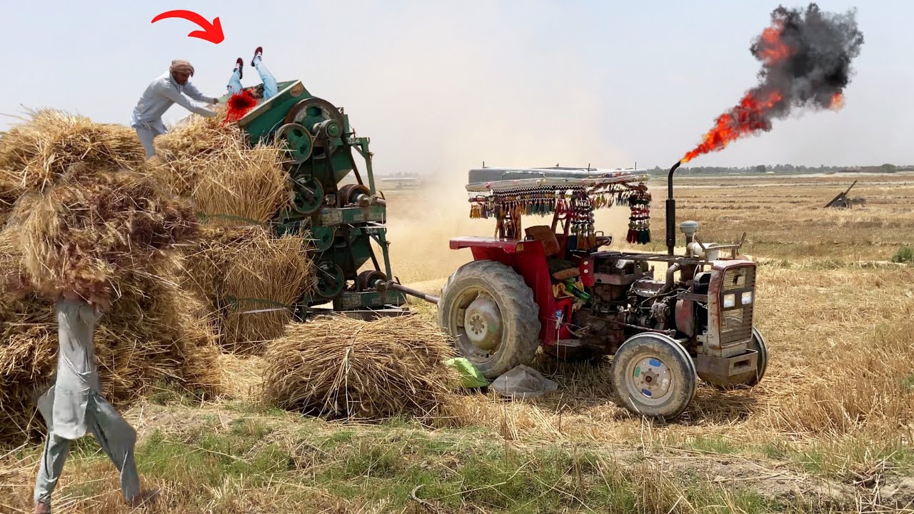 1998 model messey 240 tractor with thresher machine | thrasher accident | old harvesting technique