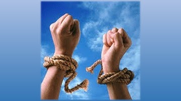 Suy niệm - NGƯỜI TÍN HỮU ĐÍCH THỰC - Lm. Giuse Nguyễn Trọng Sơn