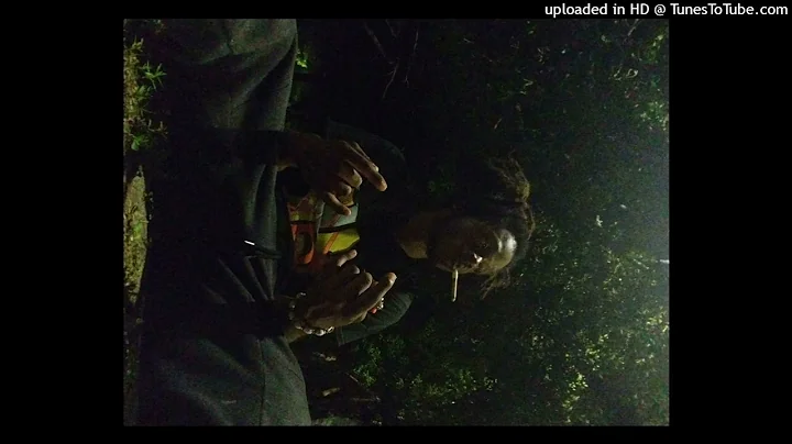 Lil flash ft Rpg Sosa Honor Roll (prod CMM Remix)