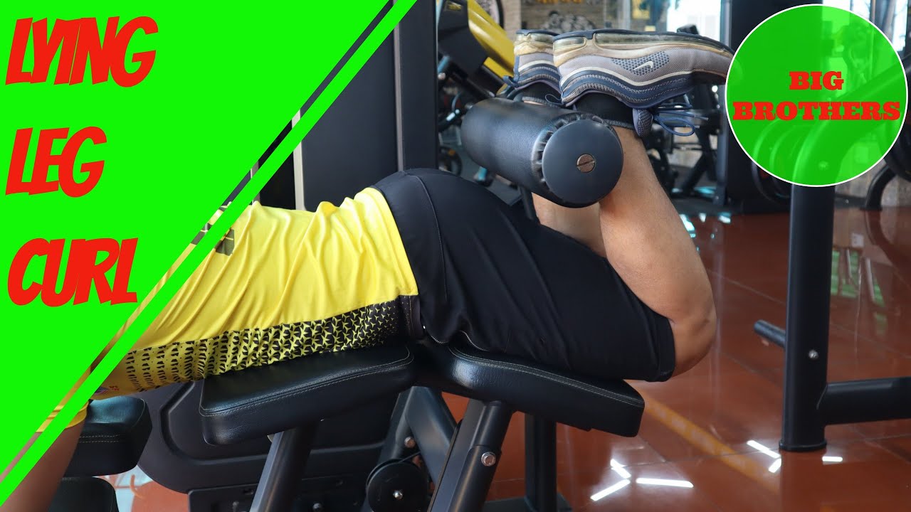 Lying Leg Curl (hướng dẫn tập) - Lying Leg Curl tutorial. - YouTube