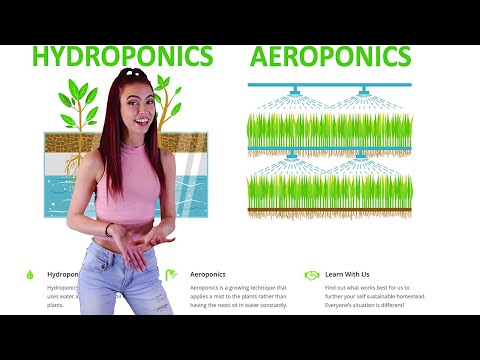 فيديو: النمو مع Aeroponics - تعرف على البستنة الهوائية