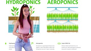 Aeroponics vs Hydroponics  Which is Better?