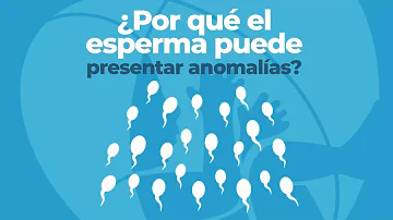 ¿Pueden los espermatozoides provocar anomalías cromosómicas?