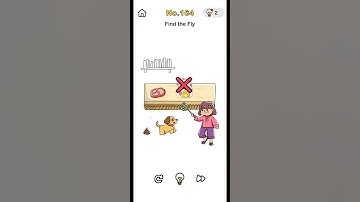 #brainoutlevel164 Find the fly walkthrough brain Out level 164 #puzzle