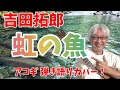 吉田拓郎 「虹の魚」 アコギ 弾き語りカバー! 「スペシャルLIVE 春だったね 2026」でも歌われた ライブの定番曲!