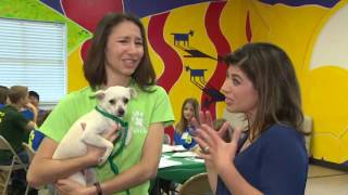 Pet of the Week: Meet Lexi!