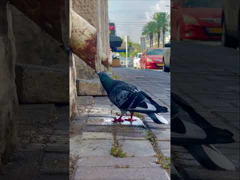 أولم يعلموا أن الله يبسط الرزق لمن يشاء ويقدر إن في ذلك لآيات لقوم يؤمنون 52