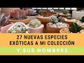 👩🏼‍🌾 compré 27 nuevas especies para mi colección con nombres ❤️