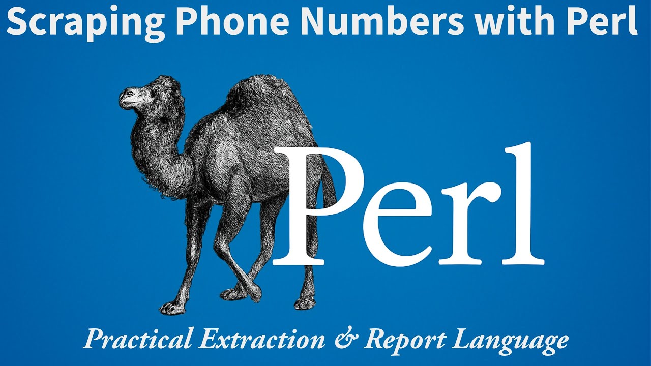 Building a Phone Number Scraper in Perl | Real-World Web Scraping Project 2026