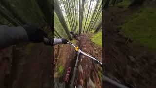 follow cam #mtb #fyp #quack #Insta360mtb #Insta360 #insta360x3  #amtb #automobile #dirtbiketricks