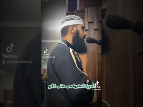 القارئ محمد شيحات سورة الملك