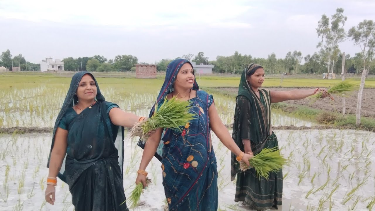 कजरी गीत 🙏 जेठनी मिली हमैं घर फोरनी सासू हमै देतू अलगायी न🪴🏵️🌿 Vasnavi blog 🙏❤️👍 करें