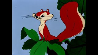 Much Ado About Nutting Ardilla Del Meme