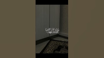 سورة العنكبوت#عبدالرحمن_مسعد #قران_كريم #quran #allah