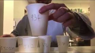 Paired Difference Test (Orange Juice) DT405/2 Group 1