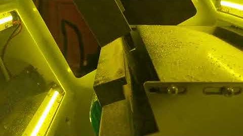 Small Millet Color Sorter Machine